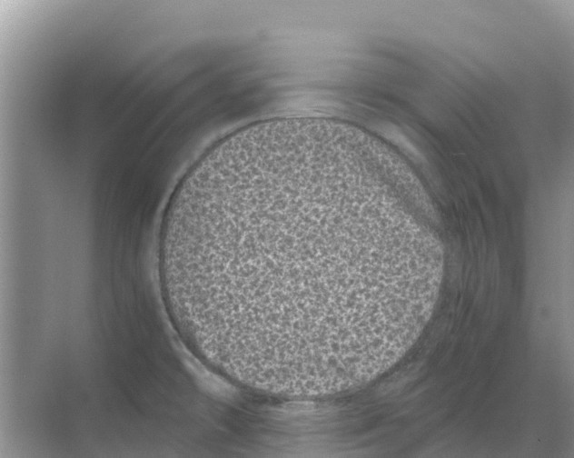 X0000070191478200606232000