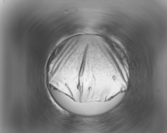 X0000070191479200606232000