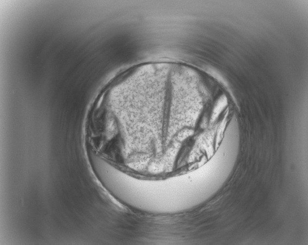 X0000070191480200606232000