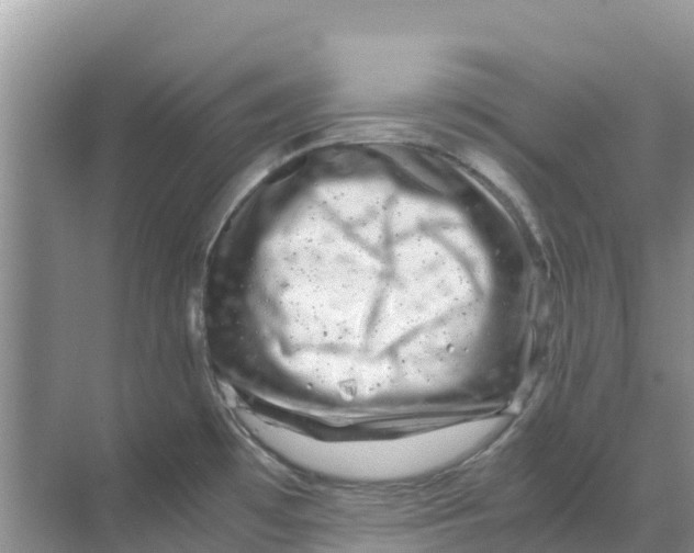 X0000070191481200606232000