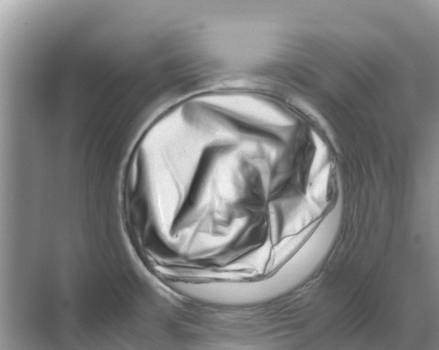 X0000070191483200606232000