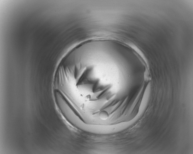 X0000070191485200606231959