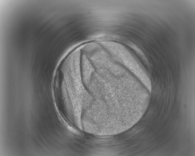 X0000070191486200606231959