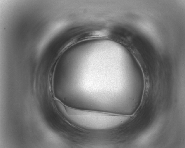 X0000070191487200606231959