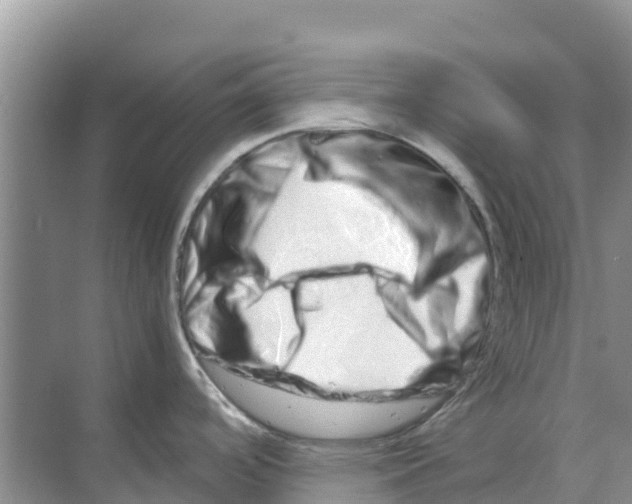 X0000070191488200606231959