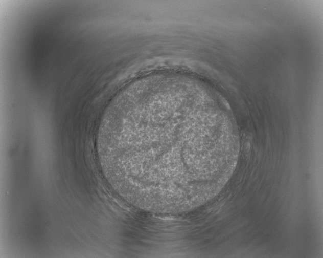 X0000070191489200606231959