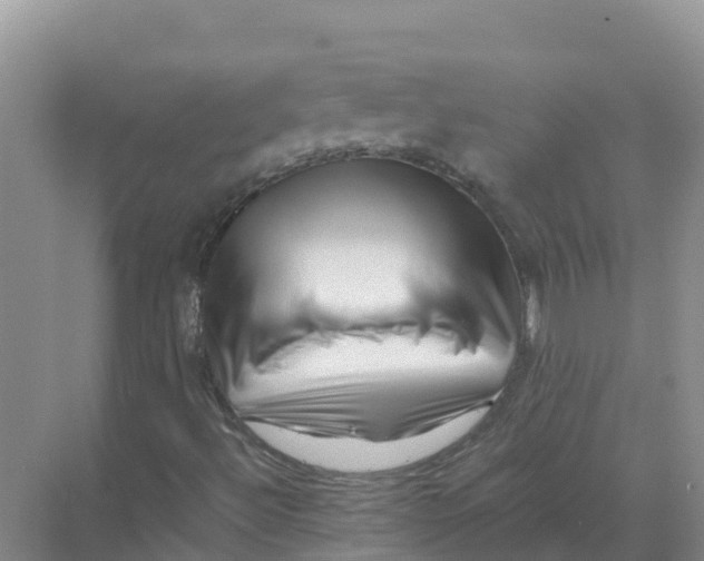 X0000070191492200606231959