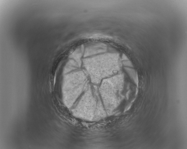 X0000070191493200606231959