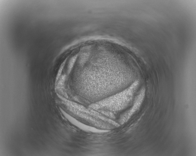 X0000070191494200606231959