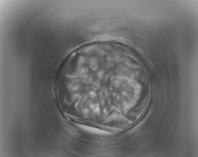 X0000070191497200606231959