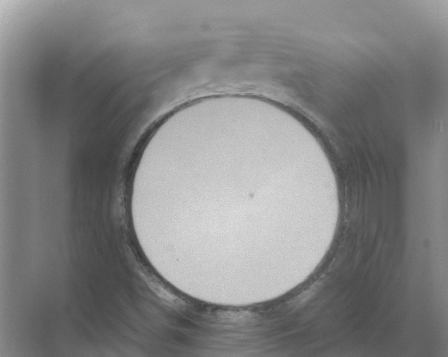 X0000070191498200606231959