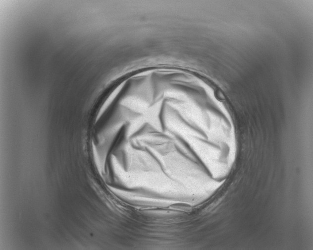 X0000070191499200606231959