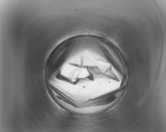 X0000070191500200606231959