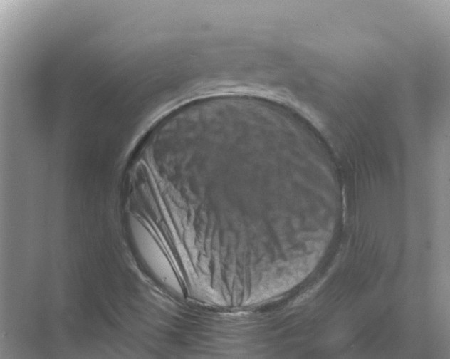 X0000070191501200606231959