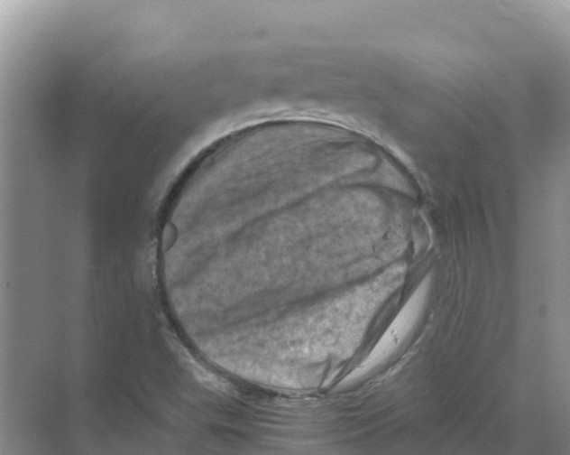 X0000070191503200606231959