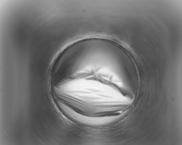 X0000070191504200606231959