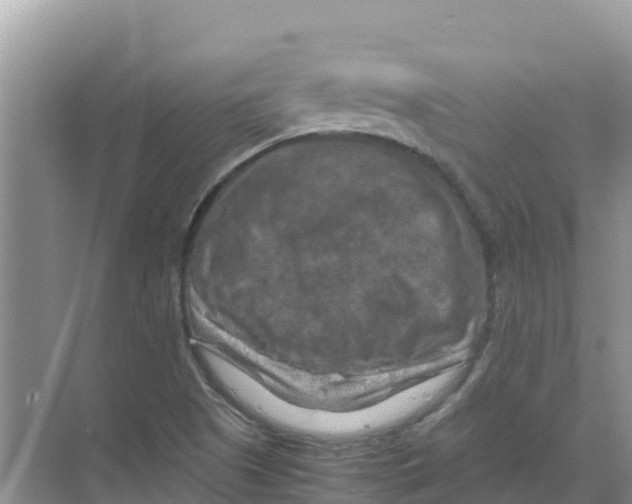 X0000070191505200606231959