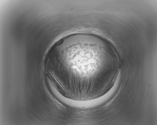 X0000070191506200606231959