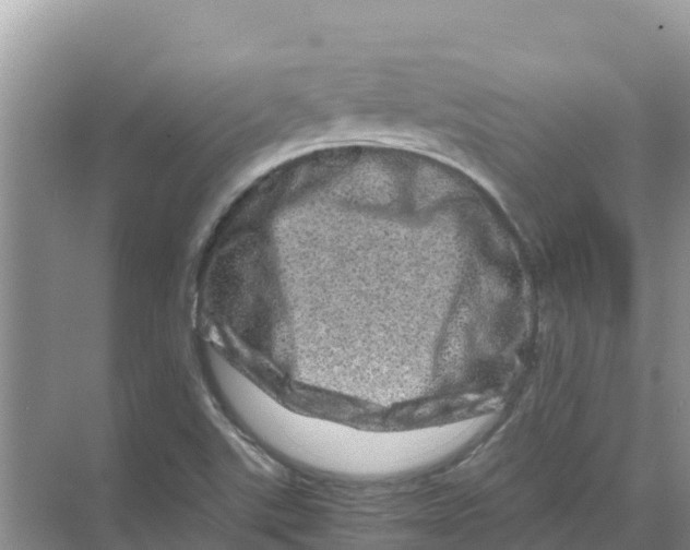 X0000070191507200606231959