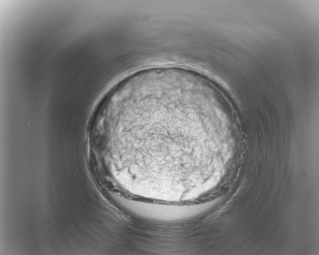 X0000070191509200606231959