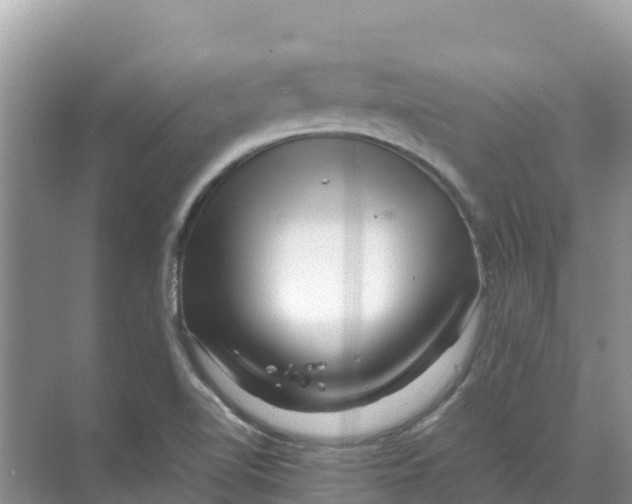 X0000070191510200606231959