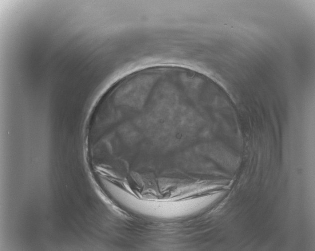 X0000070191511200606231959