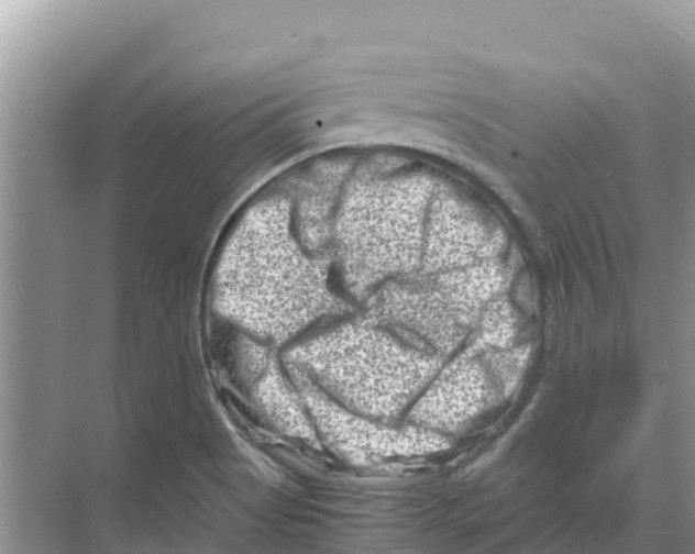 X0000070191513200606231959