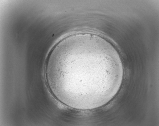 X0000070191514200606231959