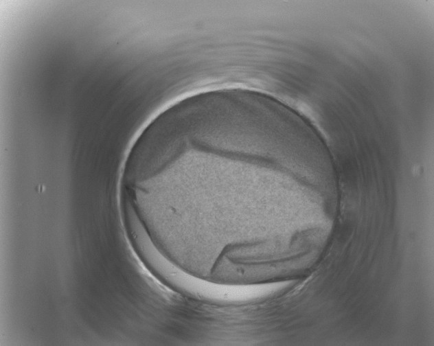 X0000070191516200606231959