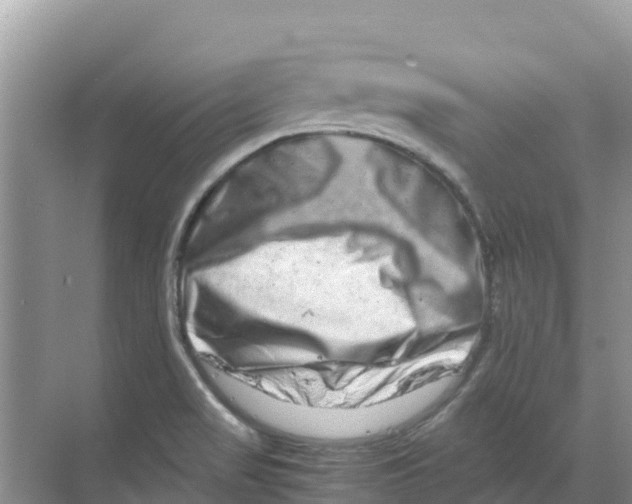 X0000070191517200606231959