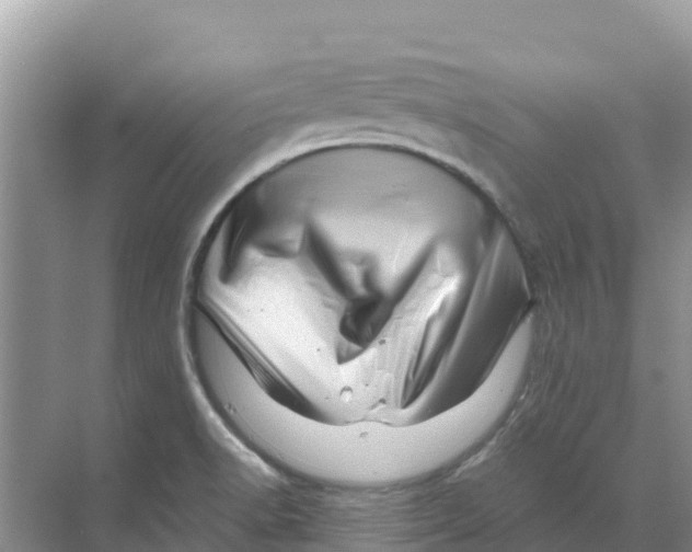 X0000070191518200606231959