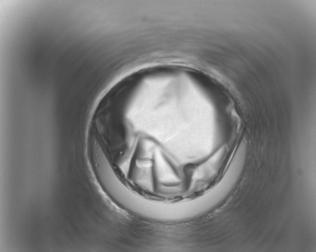 X0000070191520200606231959