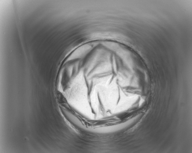 X0000070191521200606231959