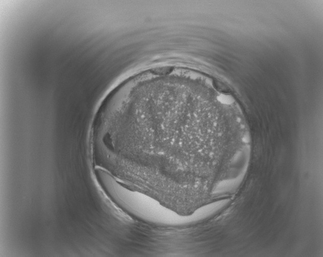 X0000070191522200606231959