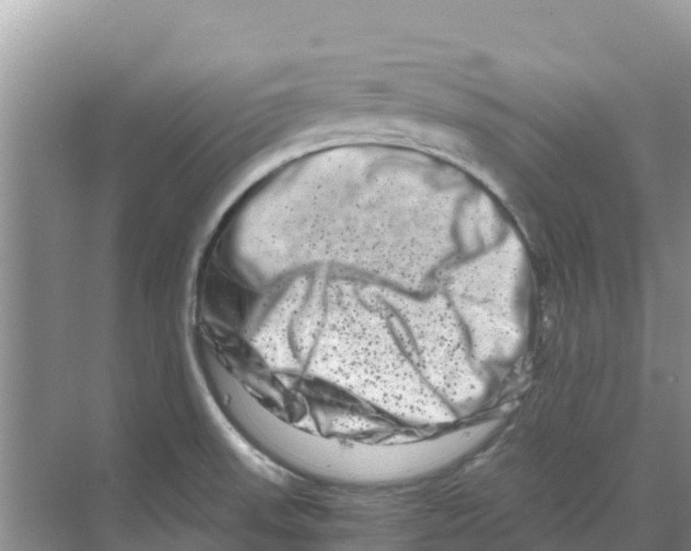 X0000070191523200606231959