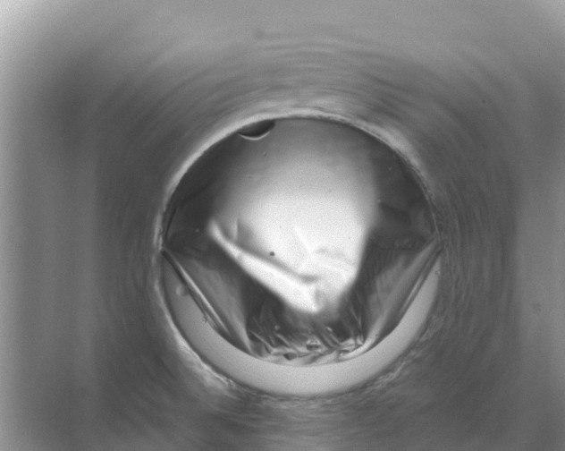 X0000070191524200606231959