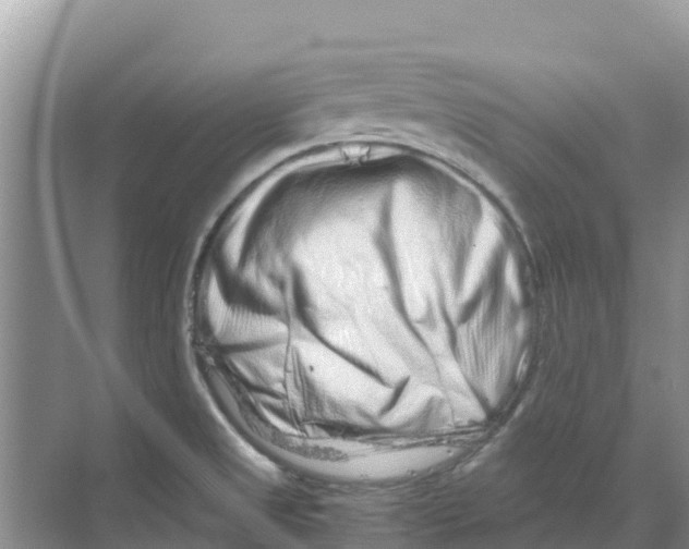 X0000070191525200606231959