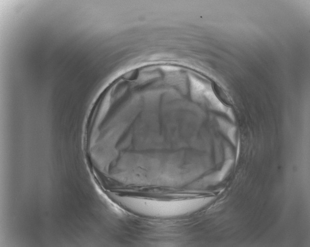 X0000070191527200606231959