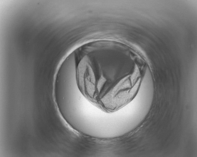 X0000070191528200606231959