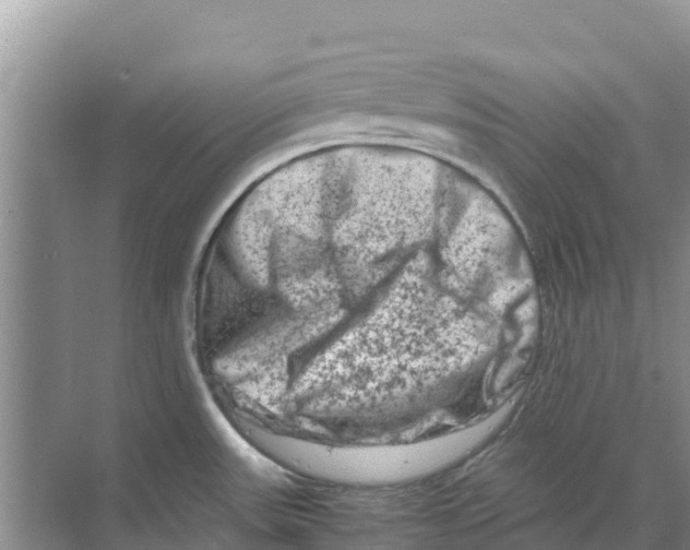 X0000070191531200606231959