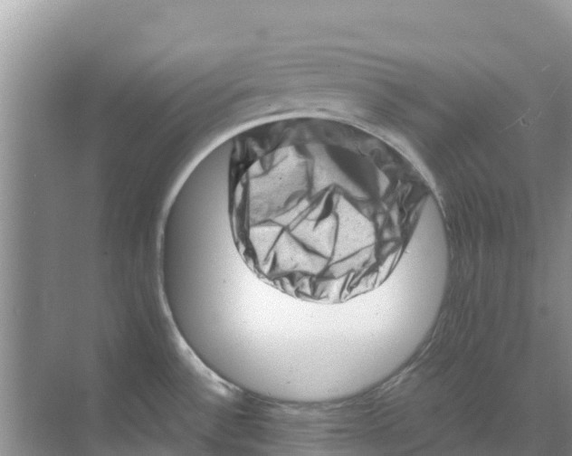 X0000070191532200606231959