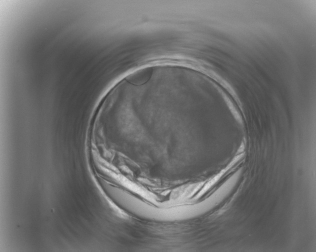 X0000070191533200606231959