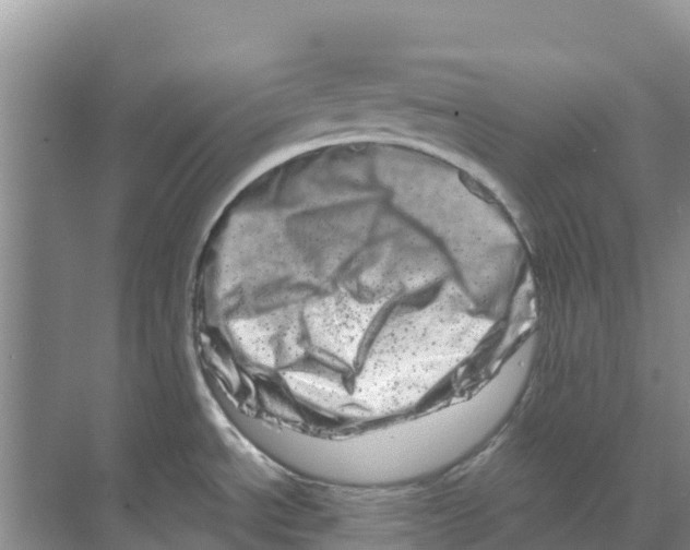 X0000070191534200606231959