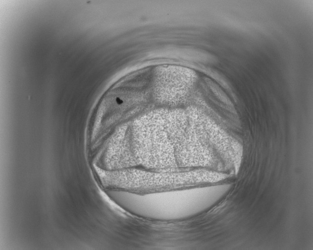 X0000070191535200606231959