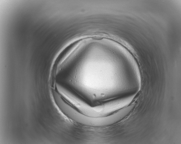 X0000070191536200606231959