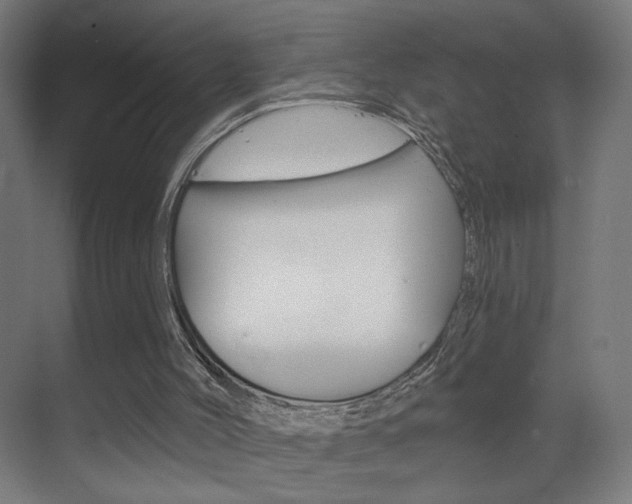 X0000070200004200605261048