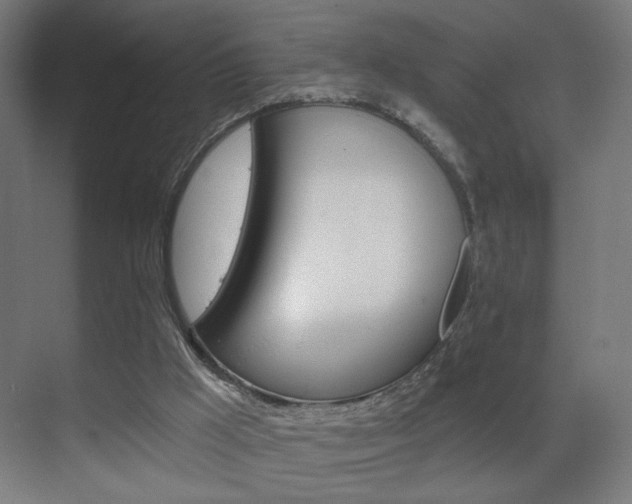 X0000070200009200605261048