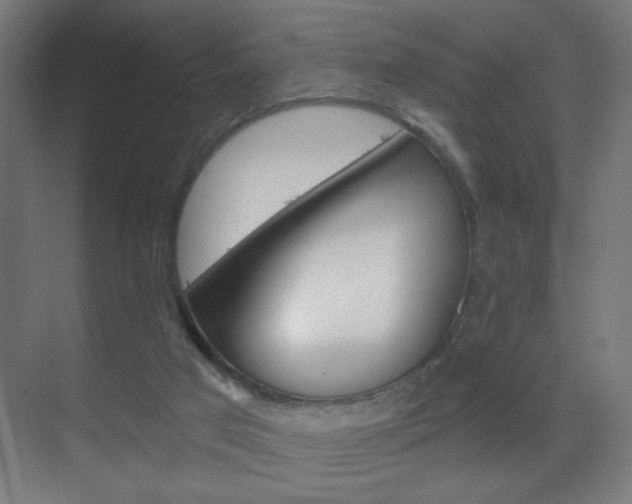 X0000070200017200605261048