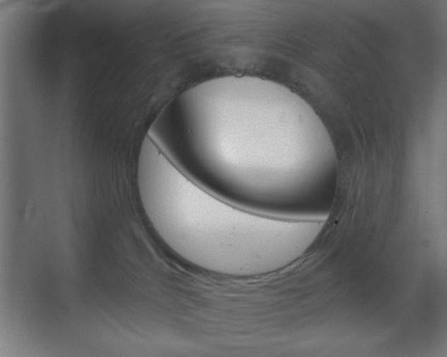 X0000070200040200605261047