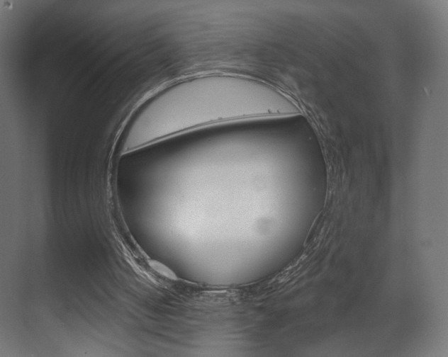 X0000070200050200605261046